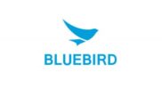 bluebird-e1451377227165-min